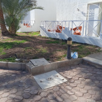 фото из отзыва ID 2595352