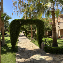 фото из отзыва ID 2595303