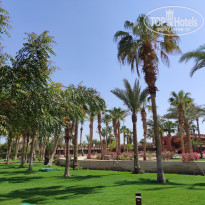 фото из отзыва ID 2595857