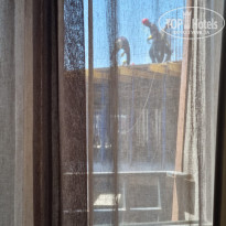 фото из отзыва ID 2595905