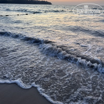 фото из отзыва ID 2595869