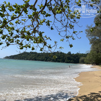 фото из отзыва ID 2596128