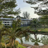 фото из отзыва ID 2596128