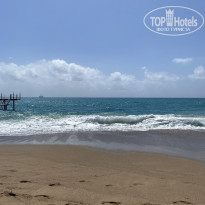 фото из отзыва ID 2596254