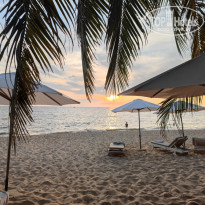 фото из отзыва ID 2594000