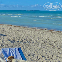 фото из отзыва ID 2596474