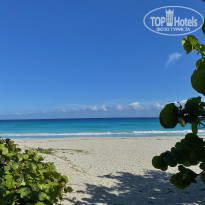 фото из отзыва ID 2596474