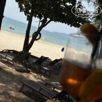 фото из отзыва ID 2596483