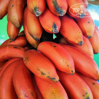 фото из отзыва ID 2596511