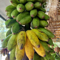 фото из отзыва ID 2596511