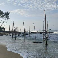 фото из отзыва ID 2596511