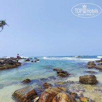 фото из отзыва ID 2596511