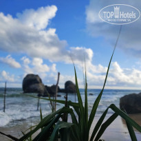 фото из отзыва ID 2596511