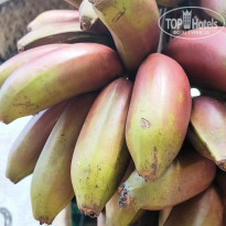 фото из отзыва ID 2596511