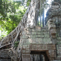 фото из отзыва ID 2596560