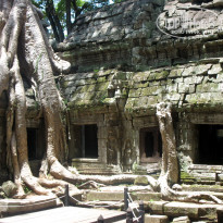 фото из отзыва ID 2596560