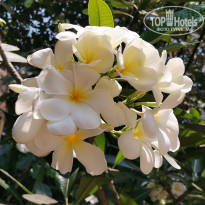 фото из отзыва ID 2596122