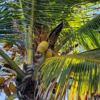 фото из отзыва ID 2596969