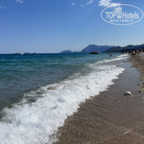 фото из отзыва ID 2597311