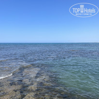 фото из отзыва ID 2597327