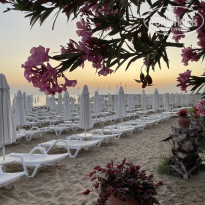 фото из отзыва ID 2597327