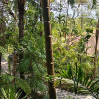 фото из отзыва ID 2596832