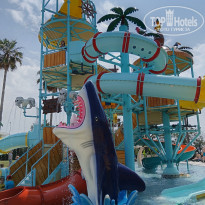 фото из отзыва ID 2597274