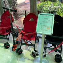 фото из отзыва ID 2597517