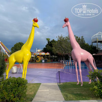 фото из отзыва ID 2597517