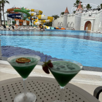 фото из отзыва ID 2597543