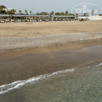 фото из отзыва ID 2597543