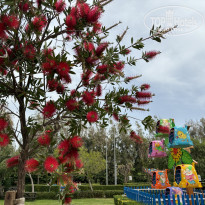 фото из отзыва ID 2597543