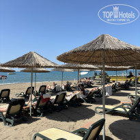 фото из отзыва ID 2597543