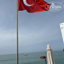 фото из отзыва ID 2597543