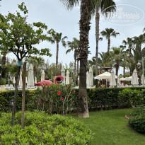 фото из отзыва ID 2597543