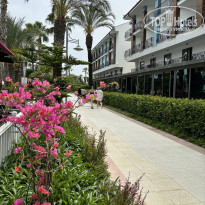 фото из отзыва ID 2597543