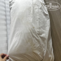 фото из отзыва ID 2597579