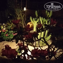 фото из отзыва ID 2597663