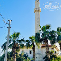 фото из отзыва ID 2597708