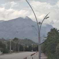 фото из отзыва ID 2597138