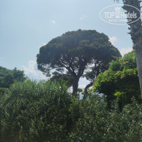 фото из отзыва ID 2597138