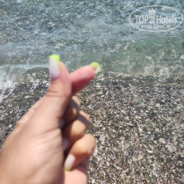 фото из отзыва ID 2597138