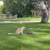 фото из отзыва ID 2597746