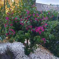 фото из отзыва ID 2597751