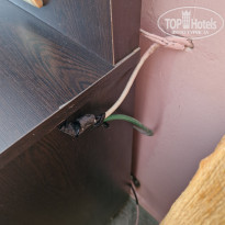 фото из отзыва ID 2597765