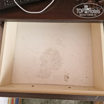 фото из отзыва ID 2597765