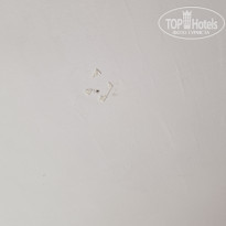 фото из отзыва ID 2597765