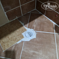 фото из отзыва ID 2597765