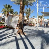 фото из отзыва ID 2597801