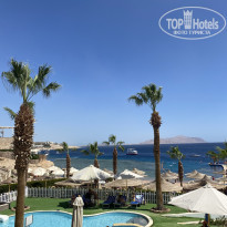 фото из отзыва ID 2597819